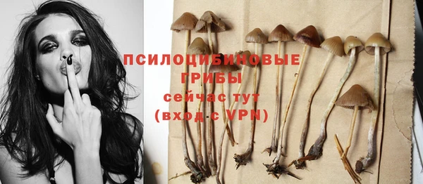 Альфа ПВП Дмитров
