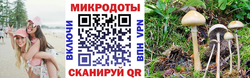 наркошоп  Первомайск  Галлюциногенные грибы Magic Shrooms 